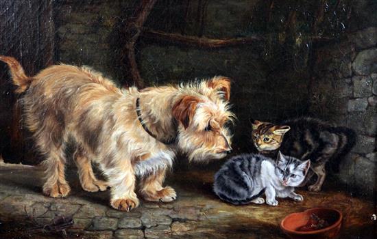 Louis Johnson Portrait of a terrier and two kittens 12 x 16in.